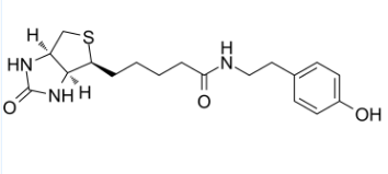 生物素基酪氨酰胺；41994-02-9；Biotinyl Tyramide