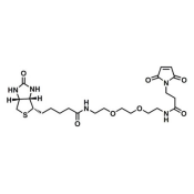 生物素二聚乙二醇马来酰亚胺  