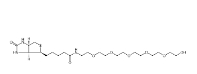 906099-89-6         Biotin-PEG6-OH	      生物素-六聚乙二醇-乙醇	