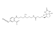 96087-37-5           Photobiotin		 光生物素