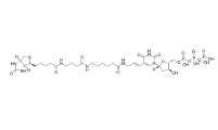 86303-26-6      Biotin-16-dUTP		