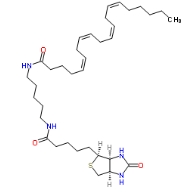 CAS号： 1217901-28-4      花生四烯酸生物素酰胺