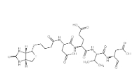 178603-73-1        Biotin-Asp-Glu-Val-Asp-CHO	        生物素-天冬氨酰-谷氨酰-缬氨酰-天冬氨醛	