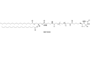 DSPE-PEG-Biotin，385437-57-0，DSPE-PEG-BIO