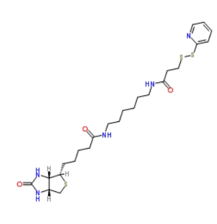 129179-83-5        N-(6-[生物素胺]己基)-3-(2-吡啶二硫)丙酰胺         Biotin HPDP