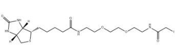 生物素-二聚乙二醇-碘乙酰胺  