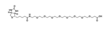 Biotin-PEG8-acid  