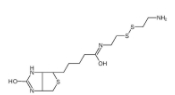 Biotinyl Cystamine  