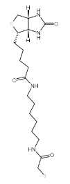 cas:93285-75-7            Iodoacetyl-LC-Biotin        N-生物素-N'-(碘乙酰基)-1,6-己二胺