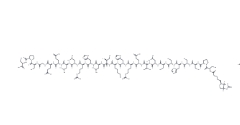 Biotin-SRC-1 (676–700) TFA  