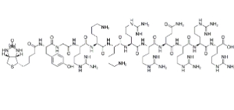 Biotin-TAT (47-57)  