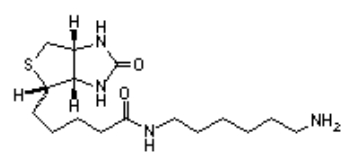 	（+)-生物素己胺  