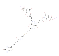 1044220-56-5        6-[2-Biotinylamidoethyl]-dithiopropionamido]-4,8-diaza-5,7-diketoundecanoic Acid, Bis-N-sulfosuccini