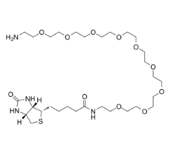 960132-48-3      O-(2-Aminoethyl)-O'-[2-(biotinylamino)ethyl]octaethylene glycol 