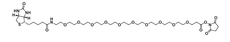 Biotin PEG10 NHS ester，生物素-PEG10-活性酯