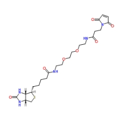 305372-39-8        Biotin PEG2 maleimide       N-生物素基-N'-(3-马来酰亚胺基丙酰基)-3,6-二氧杂辛烷-1,8-二胺