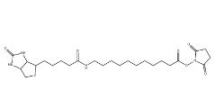 1260092-37-2       Biotin-SLC-NHS Ester