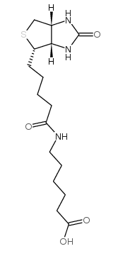 72040-64-3；N-生物素己酸；N-Biotinylcaproic Acid