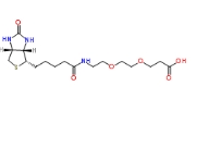 Biotin-PEG2-acid，1365655-89-5