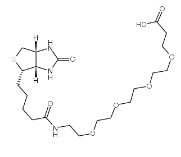 Biotin-PEG-COOH|721431-18-1|生物素-聚乙二醇-羧基