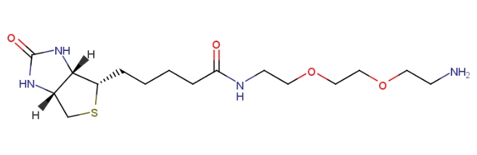 Biotin-PEG3-NHS