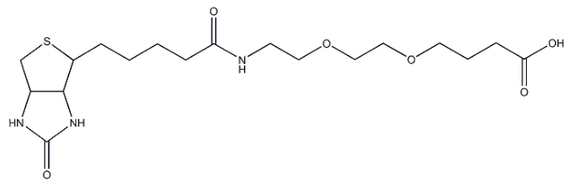 Biotin-PEG-COOH