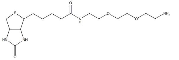 Biotin-PEG-NH2