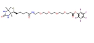 CAS:1334172-58-5  Biotin-PEG4-PFP    生物素四聚乙二醇五氟苯酯
