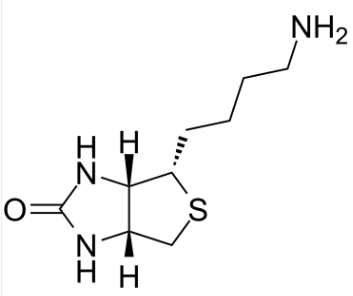 173401-47-3；Norbiotinamine