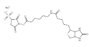  191671-46-2   Biotin-LC-Sulfo-NHS  磺基-NHS-LC-生物素