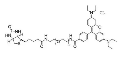 Biotin-PEG-RB