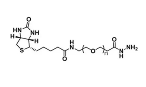 Hydrazide-PEG-Biotin