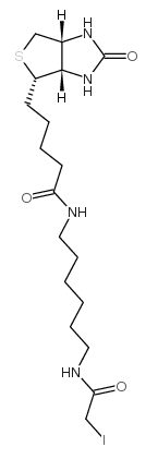 93285-75-7；N-生物素-N'-(碘乙酰基)-1,6-己二胺