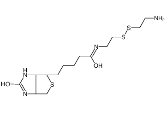 生物素半胱胺；128915-82-2；Biotinyl Cystamine