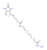 Biotin-PEG2-Hydrazide  