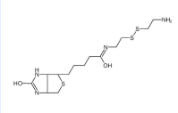 Biotinyl Cystamine  