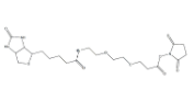 Biotin-PEG2-NHS ester  