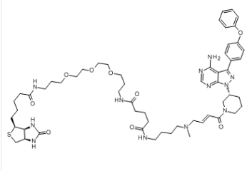 依罗替尼生物素；1599432-18-4；Ibrutinib-biotin