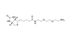 Biotin-DADOO (Biotinyl-3,6-dioxaoctanediamine)   