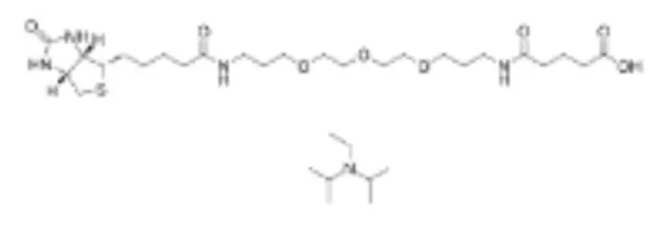  Biotinyl-NH-PEG3-C3-amido-C3-COOH (DIPEA)  