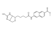 N-生物素-6-氨基-2-萘甲酸甲酯  
