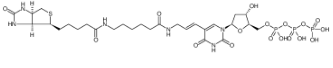 生物素-11-脱氧尿苷三磷酸(Biotin-11-dUTP)