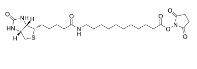 Biotin-C10-NHS Ester  887628-40-2   生物素-C10-N-羟基琥珀酰亚胺酯