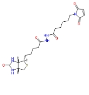 Biotin-Maleimide	cas:116919-18-7  生物素-马来酰亚胺