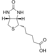 生物素 CAS:58-85-5   D-Biotin  D-生物素
