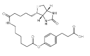 3-(4-(N-生物素-6-氨基己羧基)苯基)丙酸 83592-10-3