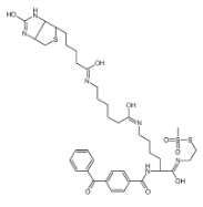 910036-44-1  甲基硫代磺酸2-[Nα-苯甲酰基苯甲酰氨基-N6-(6-生物素氨基己酰基)-L-赖氨酰胺基]乙基