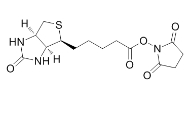 Biotin-OSU  CAS: 35013-72-0 BIOTIN-NHS