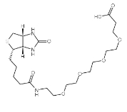Biotin-PEG24-COOH 