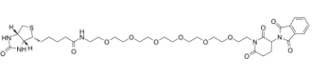 2144775-48-2；Biotin-PEG6-Thalidomide